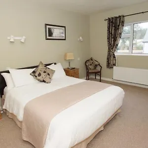 Hotel O'mahonys