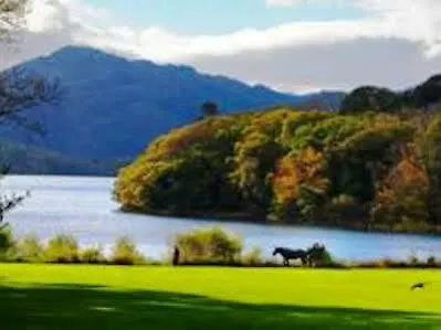 3 Lakes Hostel Killarney